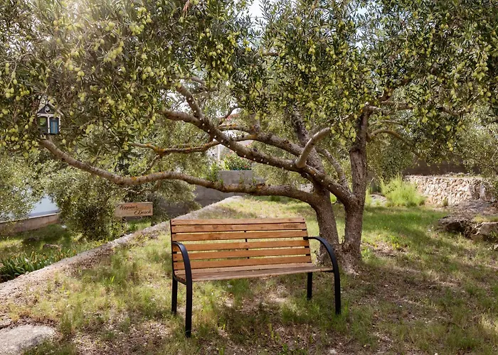 Seaside House Cove Gradina - Korcula - 25127 Holiday home