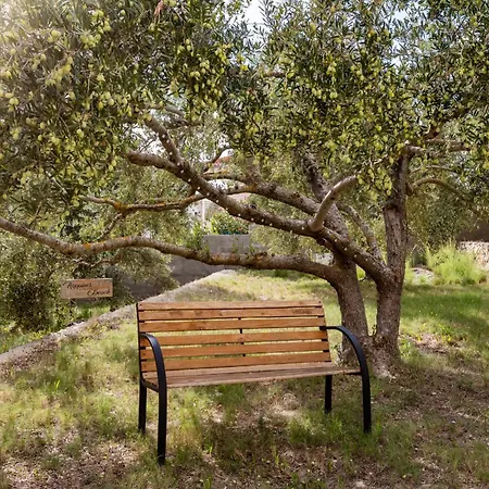 Seaside House Cove Gradina - Korcula - 25127 Tatil Evi